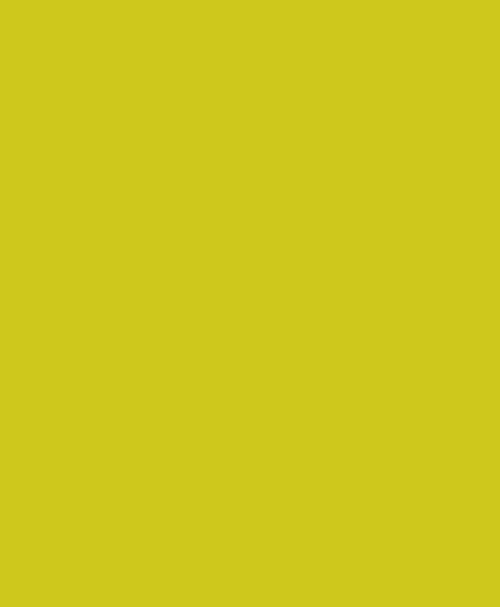 Brill. Yellow SG H/C Disp. Yellow 114