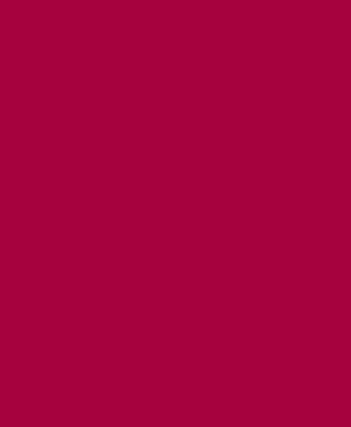 Dark Red 2B Disp. Red 167